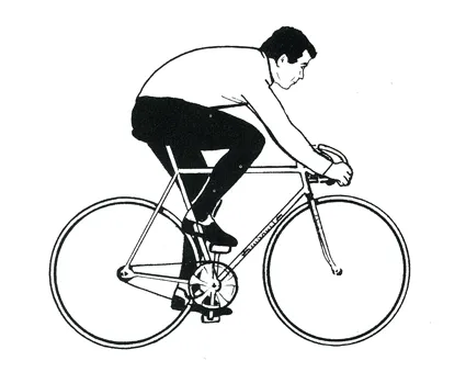 sweet-fixie