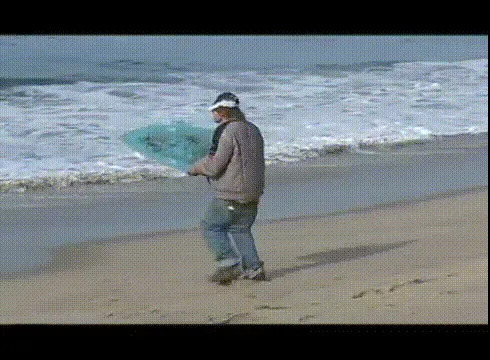 surfin-usa