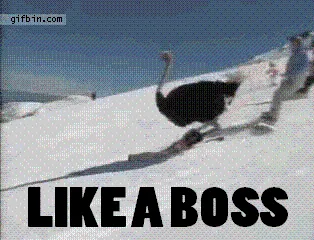 likeaboss