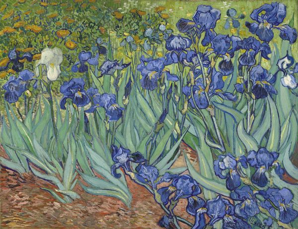 Vincent-van-Gogh_Irises_1889