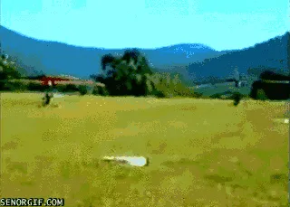 wcgw