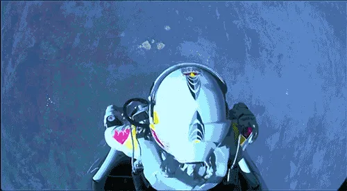 yolo