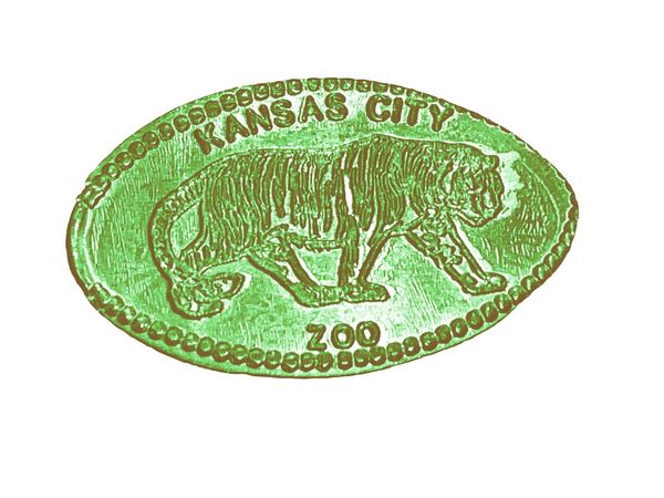 tiger_kc_zoo