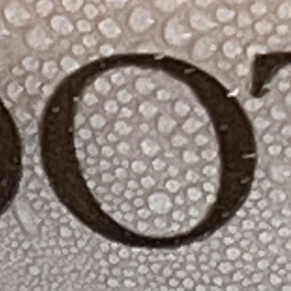 character - O: sort of generic, lightly Fancy, Realastate Agent