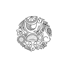 Image Nov 27 4:25 PM