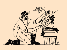 Image Nov 27 4:25 PM 5