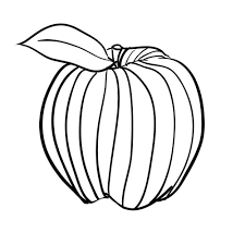 Image Nov 27 4:25 PM 8