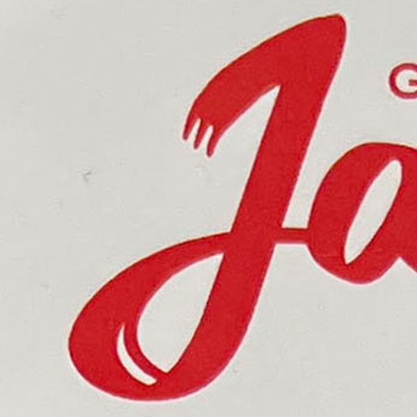 character - J: Chaotic, fun but serious aunt/uncle