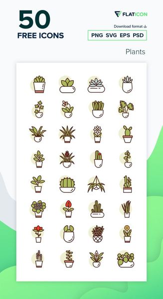 50 free icons of Plants designed by Darius Dan | Plant icon ...