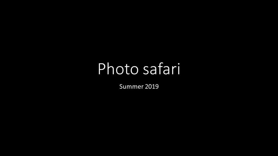 Y9 - Photo Safari