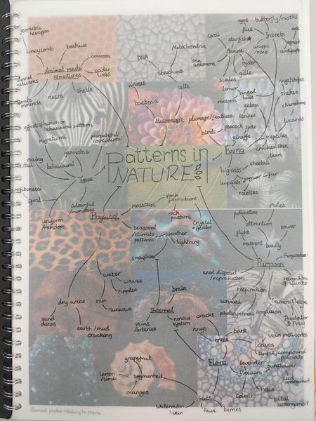 Component 1: Patterns In Nature