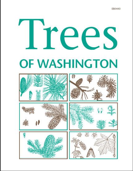 Trees of Washington