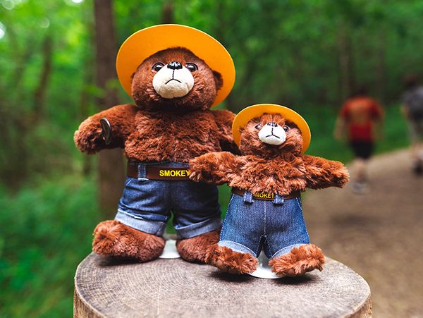 Smokey Bear Plush