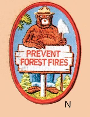 Smokey the Bear Prevent Forest Fires Patch