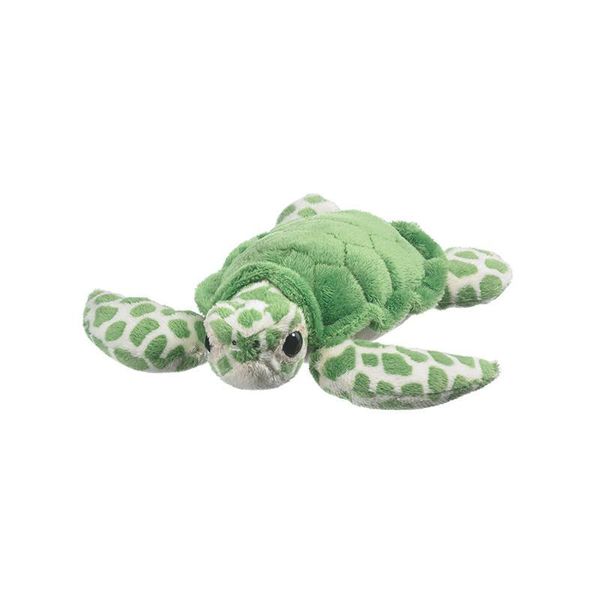Small Green Sea Turtle