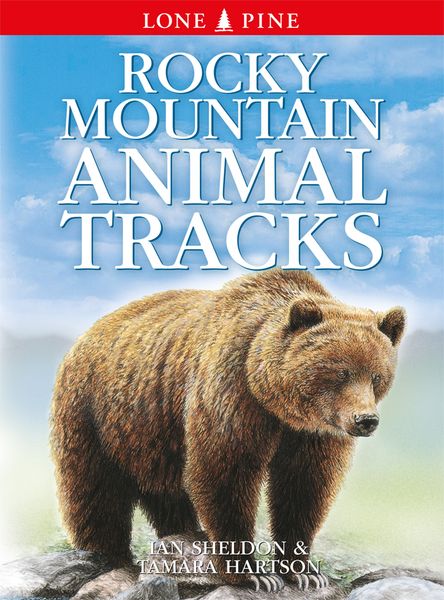 00043 - Rocky Mountain Animal Tracks