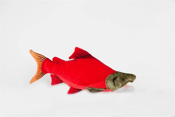 Sockeye Salmon Plush