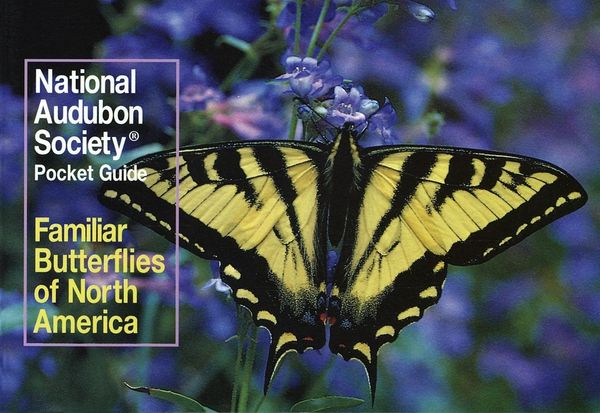 National Audubon Society Pocket Guide: Familiar Butterflies of North America 