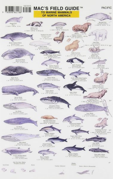 Mac's Field Guides: North American Marine Mammals