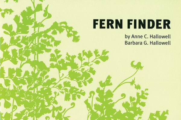 Fern Finder: A Guide to Native Ferns of Central and Northeastern United States and Eastern Canada