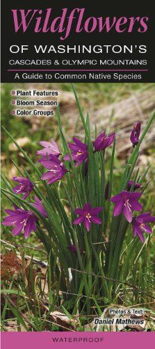 Wildflowers of Washington’s Cascade and Olympic Mountains (Quick Reference Guides)
