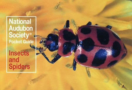 00073 - National Audubon Society Pocket Guide: Insects and Spiders