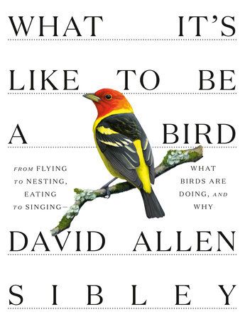 What It's Like to Be a Bird: From Flying to Nesting, Eating to Singing - What Birds Are Doing, and …