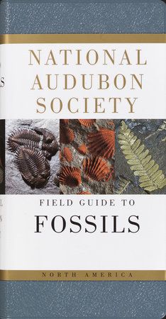 00057 - National Audubon Society Field Guide to Fossils