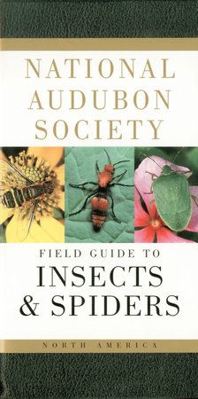 00059 - National Audubon Society Field Guide to Insects and Spiders