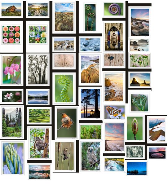 Notecards Beautiful Oregon