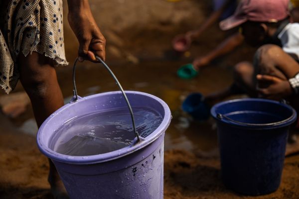 Madagascar_2019_CG-0453