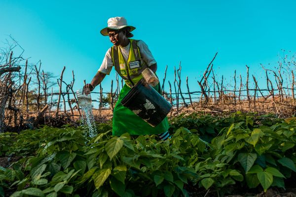 Zimbabwe_2022_CG-1099