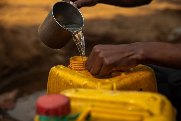 Madagascar_2019_CG-0299