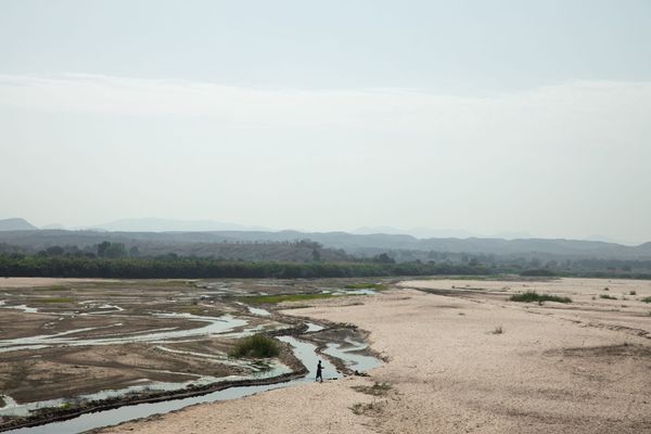 Madagascar_2019_CG-4509