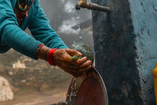 Nepal_2022_CG-0672