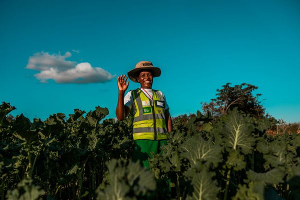 Zimbabwe_2022_CG-0930