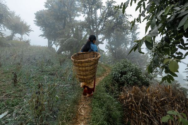 Nepal_2022_CG-1039 (1)-@cubbygraham