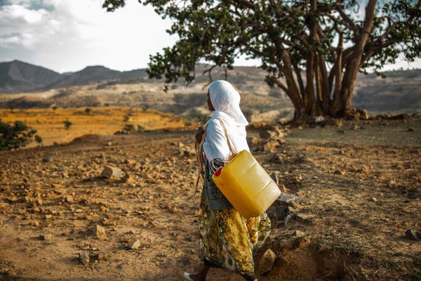 7735_Ethiopia_2019_CG-@cubbygraham