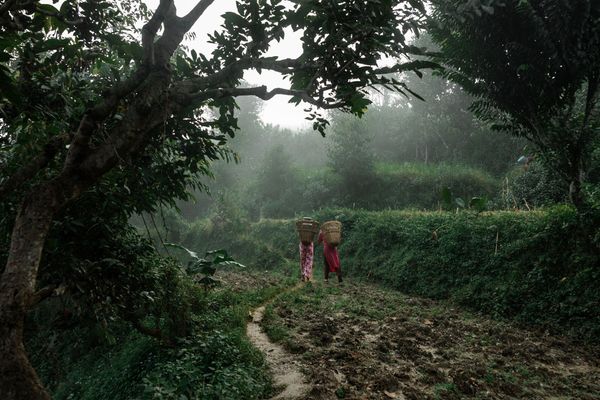 Nepal_2022_CG-8201