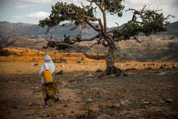7730_Ethiopia_2019_CG-@cubbygraham
