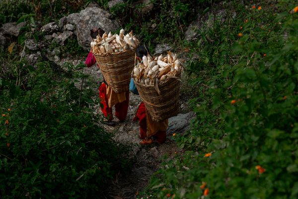 Nepal_2022_CG-1166