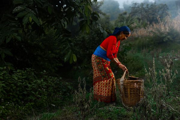 Nepal_2022_CG-2214