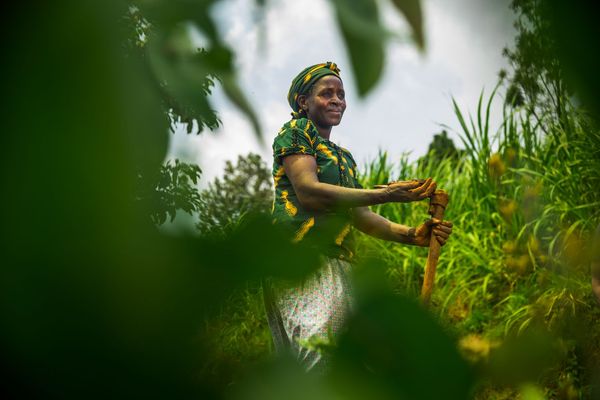 Rwanda-2018-march-cw-cubbygraham-1711-@cubbygraham