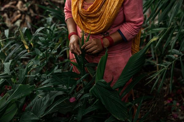 Nepal_2022_CG-8632