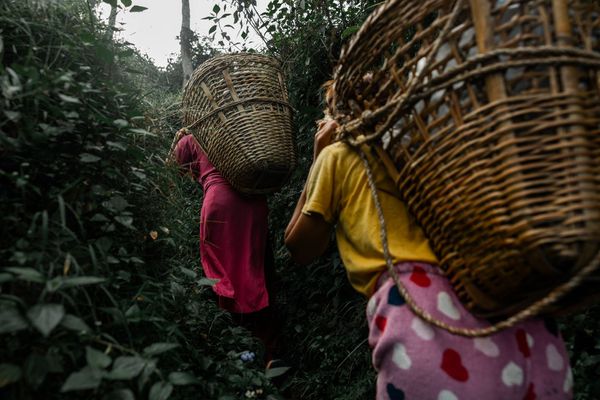 Nepal_2022_CG-8234-@cubbygraham