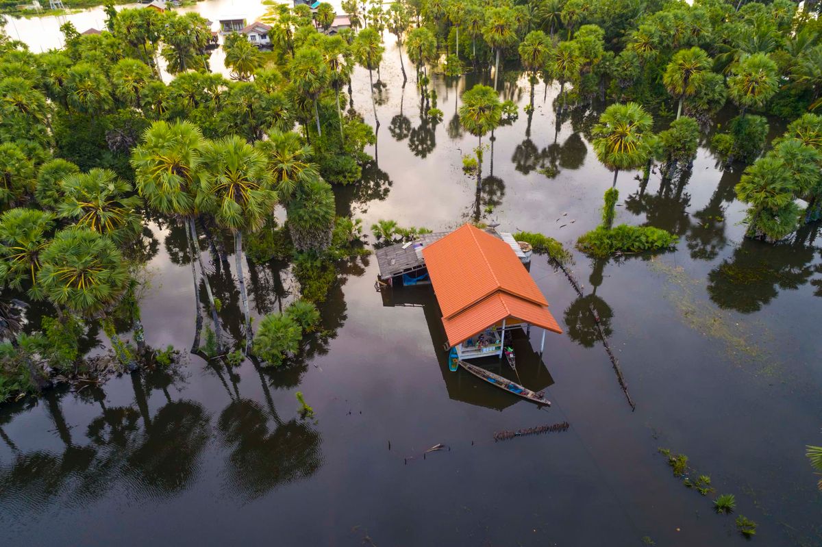 Client Earth's "Facing disaster with courage: Stories from activists on the front line of climate c…