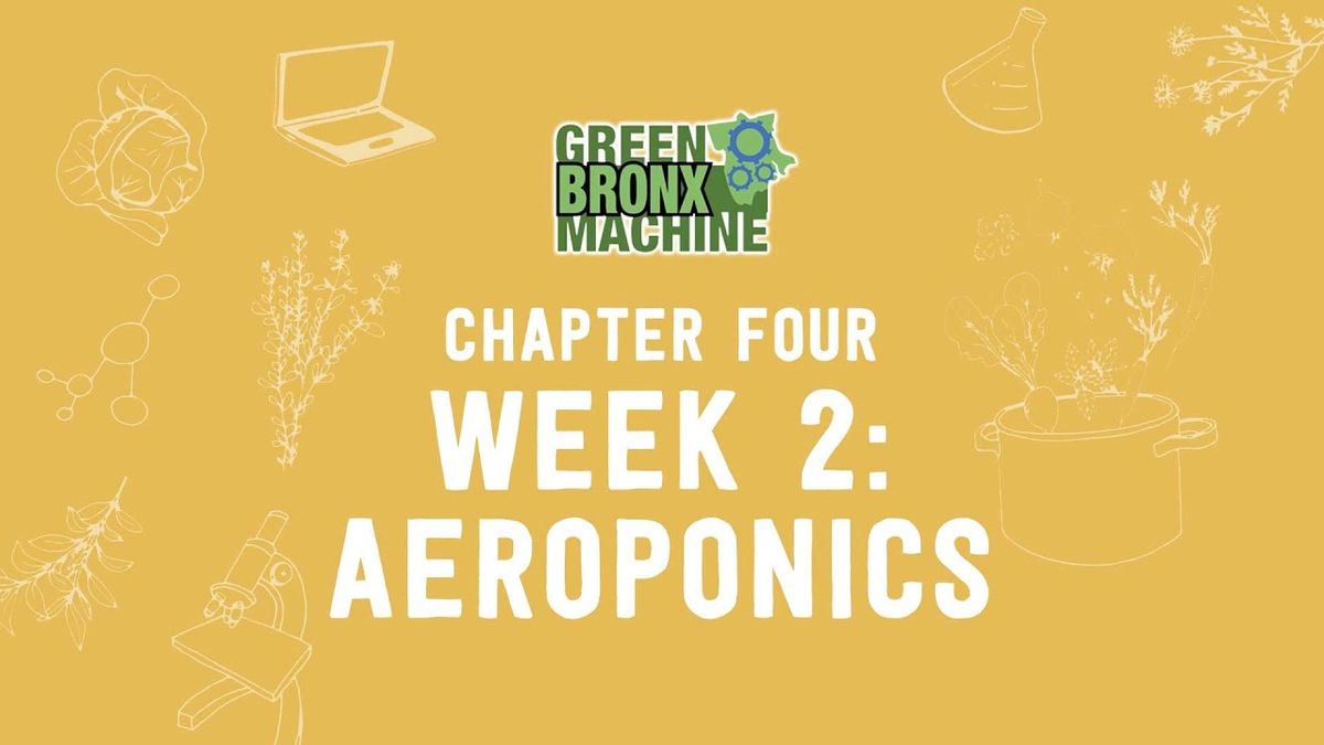 GBM Curriculum - Chapter 4