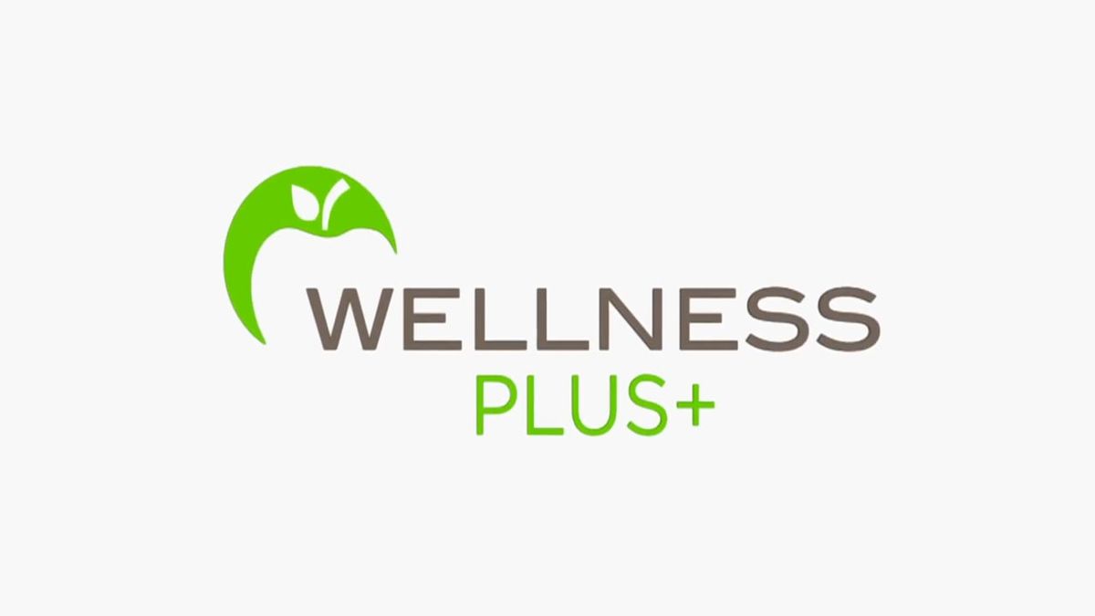 PROGRAMA WELLNESS PLUS+