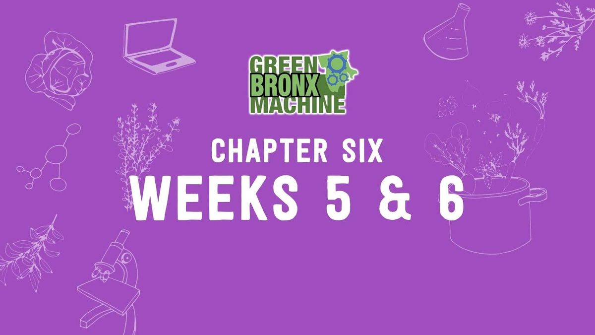 GBM Curriculum - Chapter 6