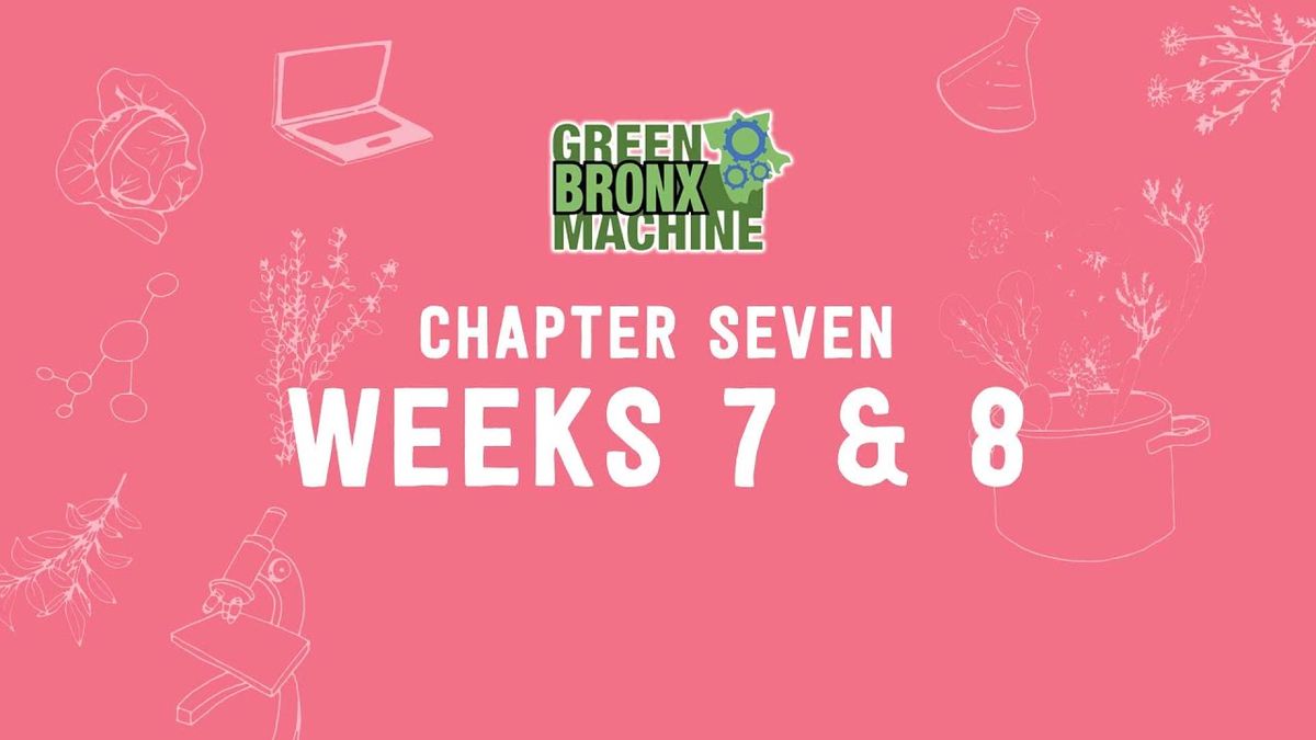 GBM Curriculum - Chapter 7
